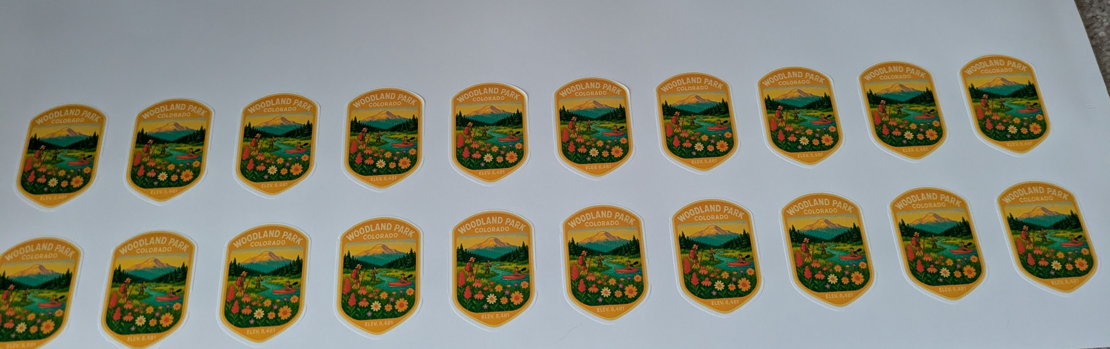 Woodland Park, Co mountain river, Wildflowers, kayaker water bottle sticker image 3