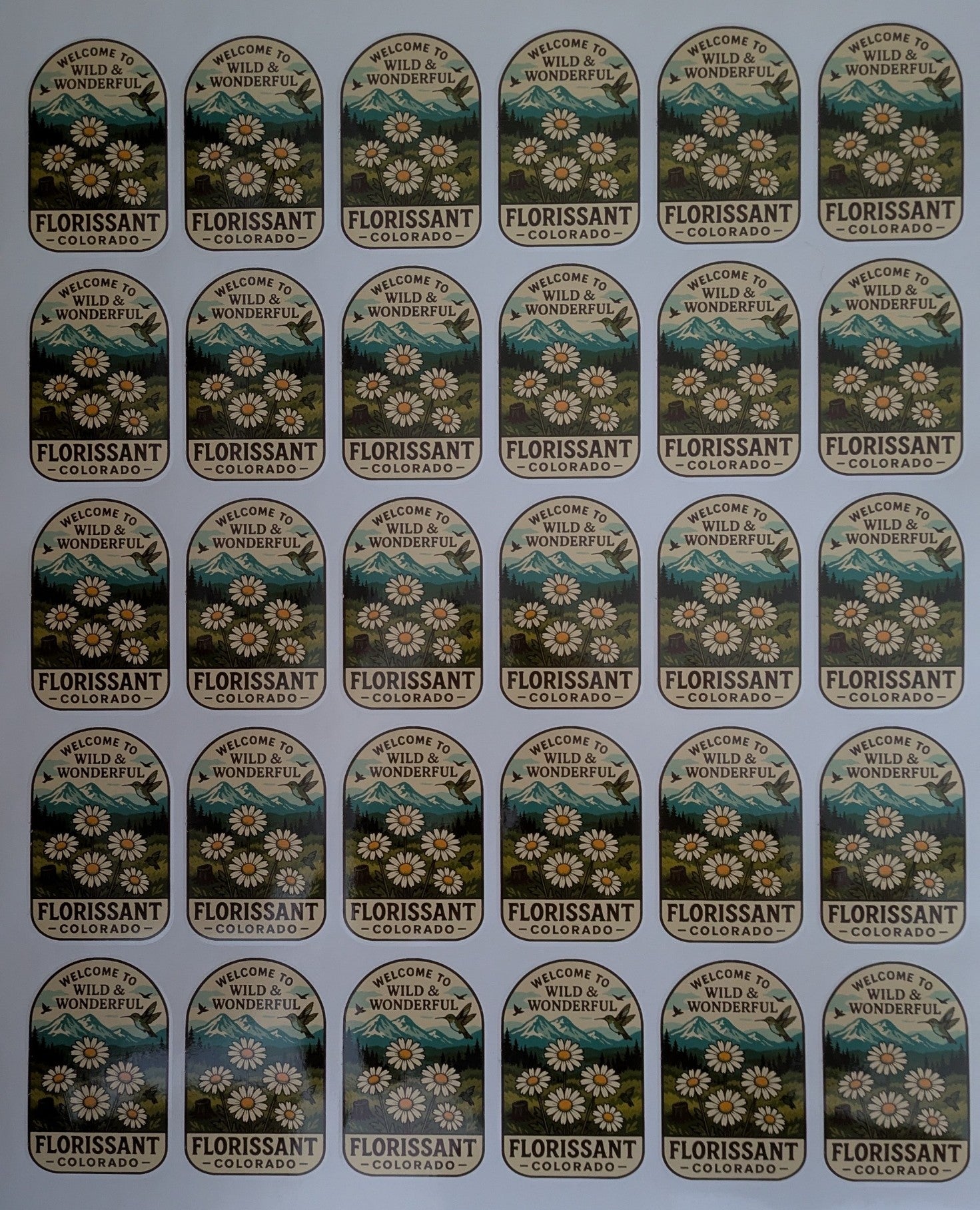 Lake George Colorado Custom Bumper stickers Decals where the wild still roams image 5