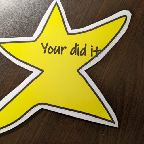 Your Did It Star Meme Sticker Funny Gold Star Decal image 0