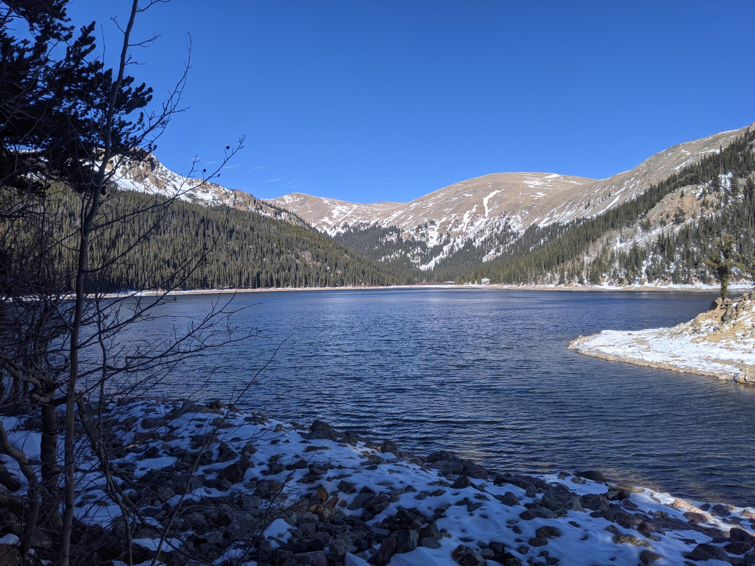 PXL_20201119_203902917