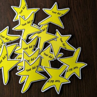 Your Did It Star Meme Sticker Funny Gold Star Decal image 1