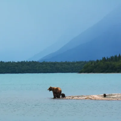 unsplash-image-8IuAYIIzFMI